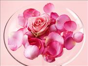 Aromatherapy4